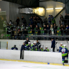 Mogo ledus halle