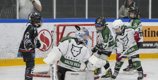 LBJČH (U9), Baltijas Vilki Tumši - Baltu Vilki, 31.01.2026.