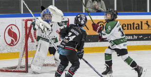 LBJČH (U9), Baltijas Vilki Tumši - Baltu Vilki, 31.01.2026.