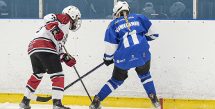 LBJČH (U14), Rīgas HS meitenes - HS Falcons