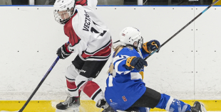 LBJČH (U14), Rīgas HS meitenes - HS Falcons