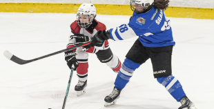 LBJČH (U14), Rīgas HS meitenes - HS Falcons