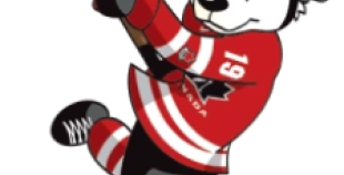 2008 IIHF pasaules čempionāts