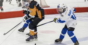 LBJČH (U11), sabraukums, 8.03.2026.