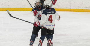 LBJČH (U15), HS BIG - HK Prizma, 18.01.2026.