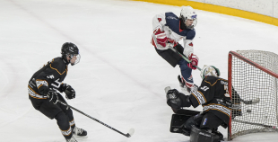 LBJČH (U15), HS BIG - HK Prizma, 18.01.2026.