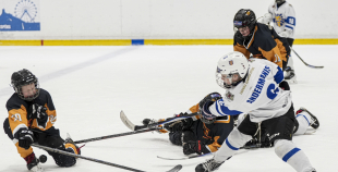 LBJČH (U11), sabraukums, 8.03.2026.