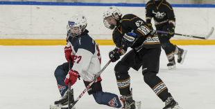 LBJČH (U15), HS BIG - HK Prizma, 18.01.2026.