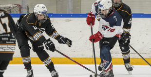 LBJČH (U15), HS BIG - HK Prizma, 18.01.2026.