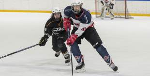 LBJČH (U15), HS BIG - HK Prizma, 18.01.2026.