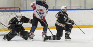 LBJČH (U15), HS BIG - HK Prizma, 18.01.2026.