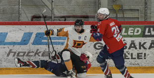 1.Līga, HK Prizma - HK Dinaburga/DSS, 1.02.2026.