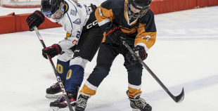 LBJČH (U11), sabraukums, 8.03.2026.