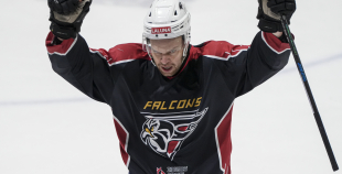 1.Līga, HS Falcons - Jelgavas LSS, 11.01.2026.