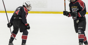 LBJČH (U11), sabraukums, 8.03.2026.