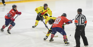 OHL, HK Prizma - Energija