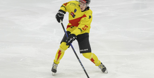 OHL, HK Prizma - Energija