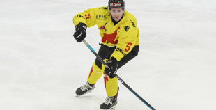 OHL, HK Prizma - Energija