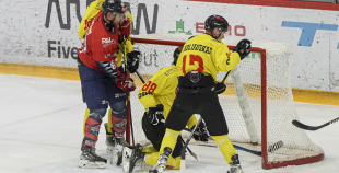 OHL, HK Prizma - Energija