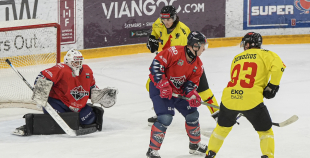 OHL, HK Prizma - Energija