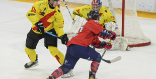 OHL, HK Prizma - Energija