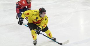 OHL, HK Prizma - Energija