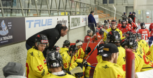 OHL, HK Prizma - Energija