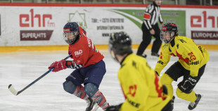 OHL, HK Prizma - Energija