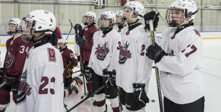 Talantu Izcilības Programma (U15)