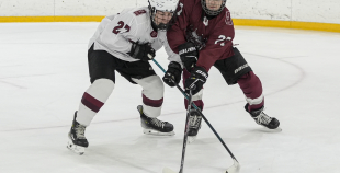 Talantu Izcilības Programma (U15)