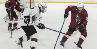 Talantu Izcilības Programma (U15)