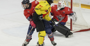 OHL, HK Prizma - Energija