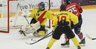 OHL, HK Prizma - Energija