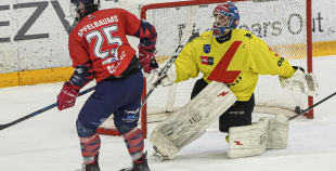 OHL, HK Prizma - Energija