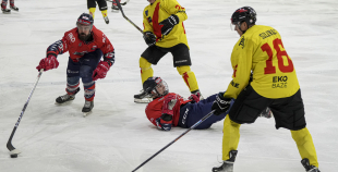 OHL, HK Prizma - Energija