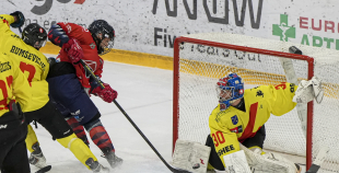 OHL, HK Prizma - Energija