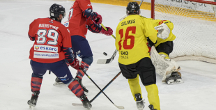 OHL, HK Prizma - Energija