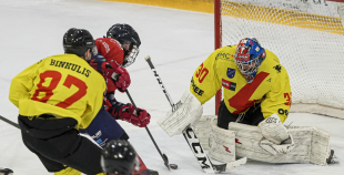 OHL, HK Prizma - Energija