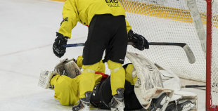 OHL, HK Prizma - Energija