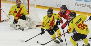 OHL, HK Prizma - Energija