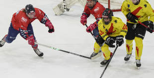 OHL, HK Prizma - Energija