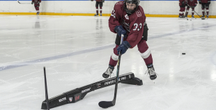 Talantu Izcilības Programma (U15)