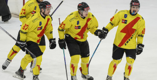 OHL, HK Prizma - Energija