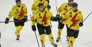 OHL, HK Prizma - Energija