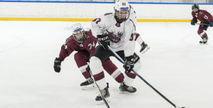 Talantu Izcilības Programma (U15)