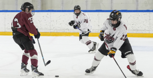 Talantu Izcilības Programma (U15)