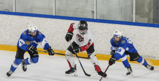 Somijas Jaunatnes Līga, Rīgas HS 2011 - Vipers U15