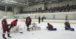 Talantu Izcilības Programma (U15)