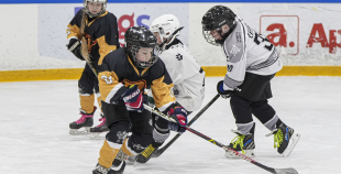 LBJČH (U8) sabraukums, 7.02.2026.