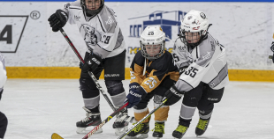 LBJČH (U8) sabraukums, 7.02.2026.